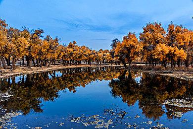 《灵魂骇客2》由林檎为大家介绍本作的魅力 “召唤师指南”Vol.2公开